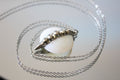 Midline Shell Necklace